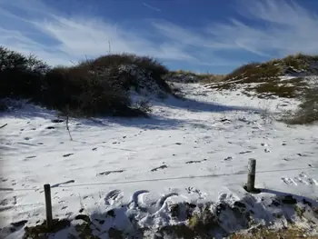 De Panne in de sneeuw (België)